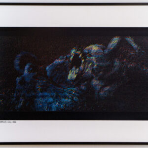 ASSIMILATION>CELL>DOG