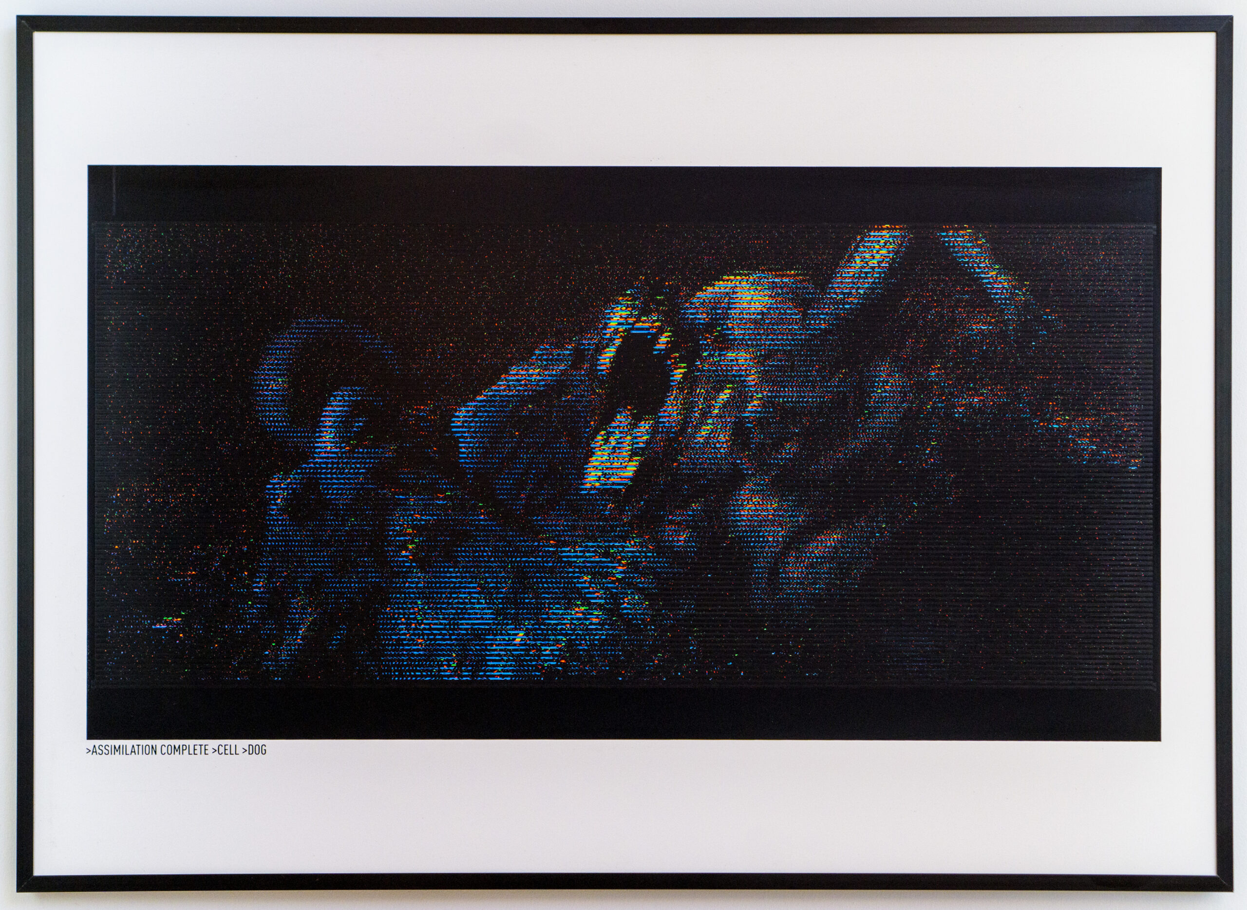 ASSIMILATION>CELL>DOG